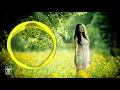 TOP MUSIC DJ INDIA VS DJ INDO REMIX 2017 IMAN DEJAVU™