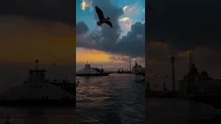 وكتير بتفوتني وافوتك 