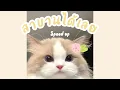 สาบานได้เลย - ฮันเตอร์   |  Speed up ♡
