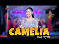 Lagu CAMELIA - NOVI NOVITA - RHN MUSIC ft CB AUDIO 
