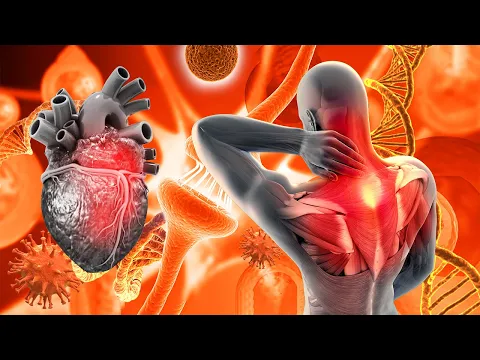 Download MP3 Alpha Waves Heal Heart And Blood Vessel, Your Body Will Have Clear Changes,Full Body Massage (432Hz)