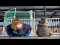 Animal Voice 11 - seal teaches belly slapping