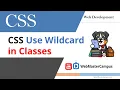 CSS Use Wildcard in Classes
