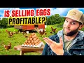 I VE RUN MY EGG BUSINESS FOR 4 YEARS HERE ARE THE TRUE NUMBERS