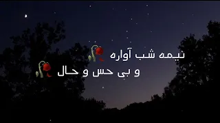 بهترین و ناب ترین دکلمه زیبا نیمه شب آواره و بی حس و حال 