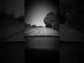 Stone Sour - Zzyzx Rd. (Audio)
