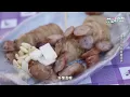 【看到餓惹】蕭秉治回澎湖回憶兒時的味道 大嗑仙人掌冰竟"巧遇"師兄五月天?!
