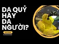 Download Lagu 🔴DẠ QUỶ HAY DẠ NGƯỜI@PhuongNgaDoan #ChongDoiTra #chongtuyentruyen #new #news #podcast #