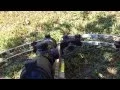 Lagu Anti Dry Fire safety feature on the Parker Thunder Hawk Crossbow. See how it works Important tip