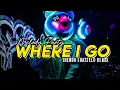 Download Lagu MELODY PARTY!!! WHERE I GO (THENDO CHASTELO) BASSGANGGA REMIX 2025🔥