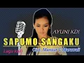Download Lagu AYUNI KDI \