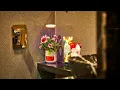 Download Lagu Pico garden in your palm | next gen garden | future tech 2020