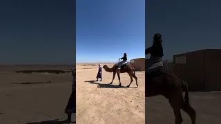 حبيبي كم تو موروكو 