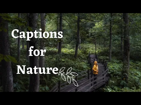 Download MP3 Nature Instagram Captions | Captions for Instagram for Nature Lovers