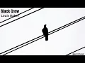 Louis Baker - Black Crow