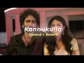 Kannukulla (Slowed + Reverb | Dude