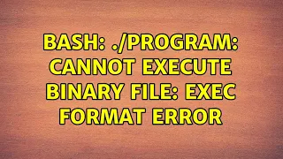 Ubuntu bash program cannot execute binary file Exec format error