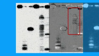 7C2D107C80BA49C65AA1203BD17D4B 1 