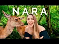 Lagu 24 Hours in NARA Japan 🇯🇵 What to see, do \u0026 eat!
