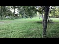 Honda crf70f top speed