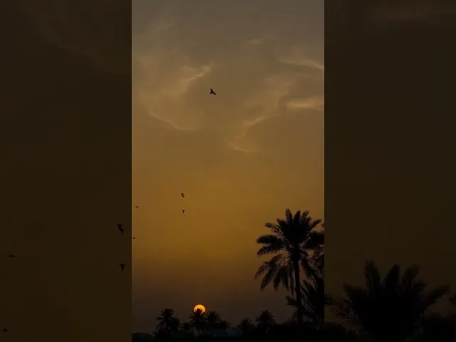 ⁣تقبل الله منا ومنكم صالح الاعمال | لاتنسونا من صالح دعائكم