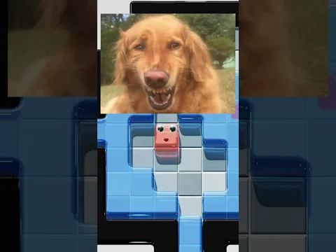 ABRETE espacio entre las GELATINAS XD  #puzzle #humor #games #puzzle #xd #memes #jajaja #gameplay