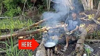 Download THE BEST COMPILATION OF COOKING IN NATURE‼️BULLUS💓GORTED KAMPUNG CHICKEN💓RIVER FISH👌🌳 MP3