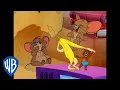 Download Lagu Tom \u0026 Jerry | Best Jerry Mouse Moments 🐭 | Classic Cartoon Compilation | @wbkids​