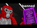 I Tested Banned Gorilla Tag Mods
