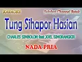 Download Lagu DANG DI IDA MATA ALAI DI IDA ROHA ll KARAOKE BATAK ll TUNG SIHAPUR HASIAN ll NADA PRIA A=DO