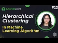 Hierarchical Clustering Machine Learning Tutorial Tutorialspoint