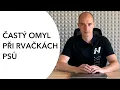 Download Lagu #145 - Častý omyl při rvačkách psů – děláte ho taky?