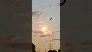 أبا فرناندو 