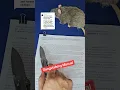 Gangstalking Manual gangstalkinginvestigation