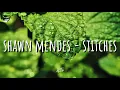 Download Lagu Shawn Mendes - Stitches (Lyrics)