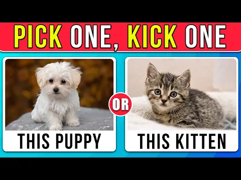 Download MP3 Pick One, Kick One - Cute Animals Edition! 🐥🐰🐱🐾