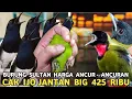 Download Lagu NGERI !! KACER JTN RIWIKIN 170 RIBUAN CAK IJO BIG JTN 425 RIBU MB TROTOL JTN 350 RIBU DI PB PRAMUKA