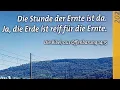 Download Lagu Entrückung - Bestätigung