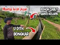 Lagu Gawat‼️Tiba tiba Lurah Jujun Di Datangi petugas Perum Podomoro || kenapa Cabut pohon Gak konfirmasi 