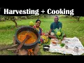 Lagu 🍛🍛பலா பிரியாணி in Mango Farm🔥 | Cooking Vlogs #farming #cooking