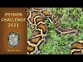 2021 Florida Python Challenge