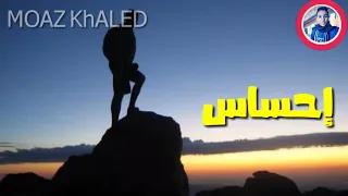 حالة واتس مودي أمين مهرجان ناس بتبيع دندنها