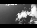Wild Ones (Bahari Cover)