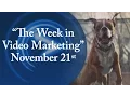 The Week in Video Marketing - November 21st