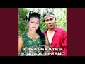 Karangkates Ninggal Tresno (feat. Via)