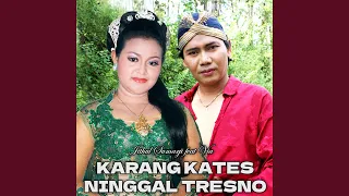 Download Karangkates Ninggal Tresno (feat. Via) MP3