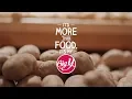 Big Y Local Partners 500 - It s More Than Food It s My Big Y
