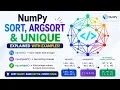 NumPy sort argsort unique Explained - Python for Beginners