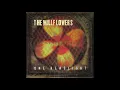 The Wallflowers - One Headlight (Torisutan Extended)