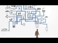 Complexity Science 1 Introduction